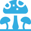     Bước 1